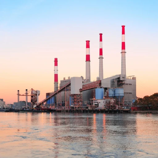 Digital Marketing Services in India